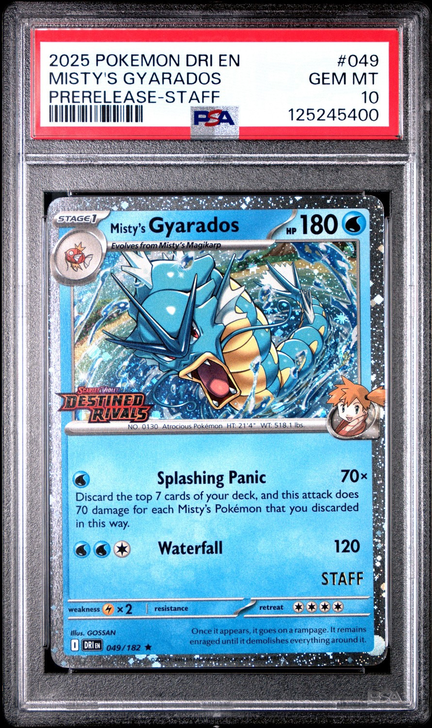 Misty's Gyarados