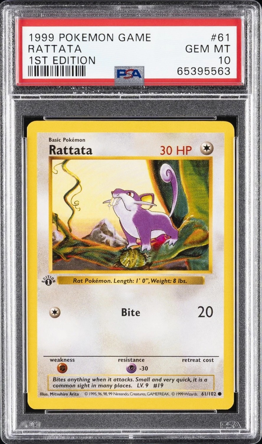 Rattata