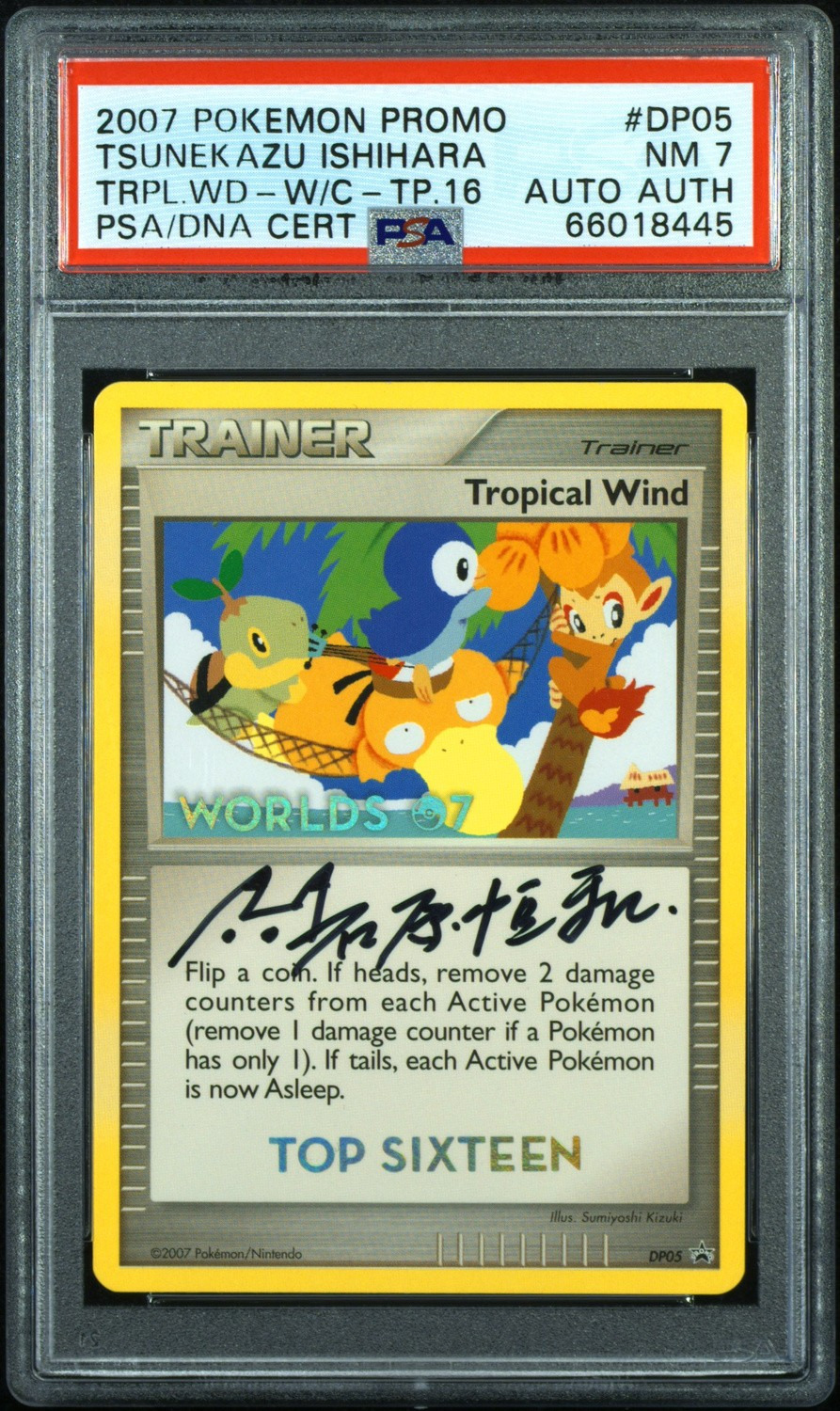 Tropical Wind