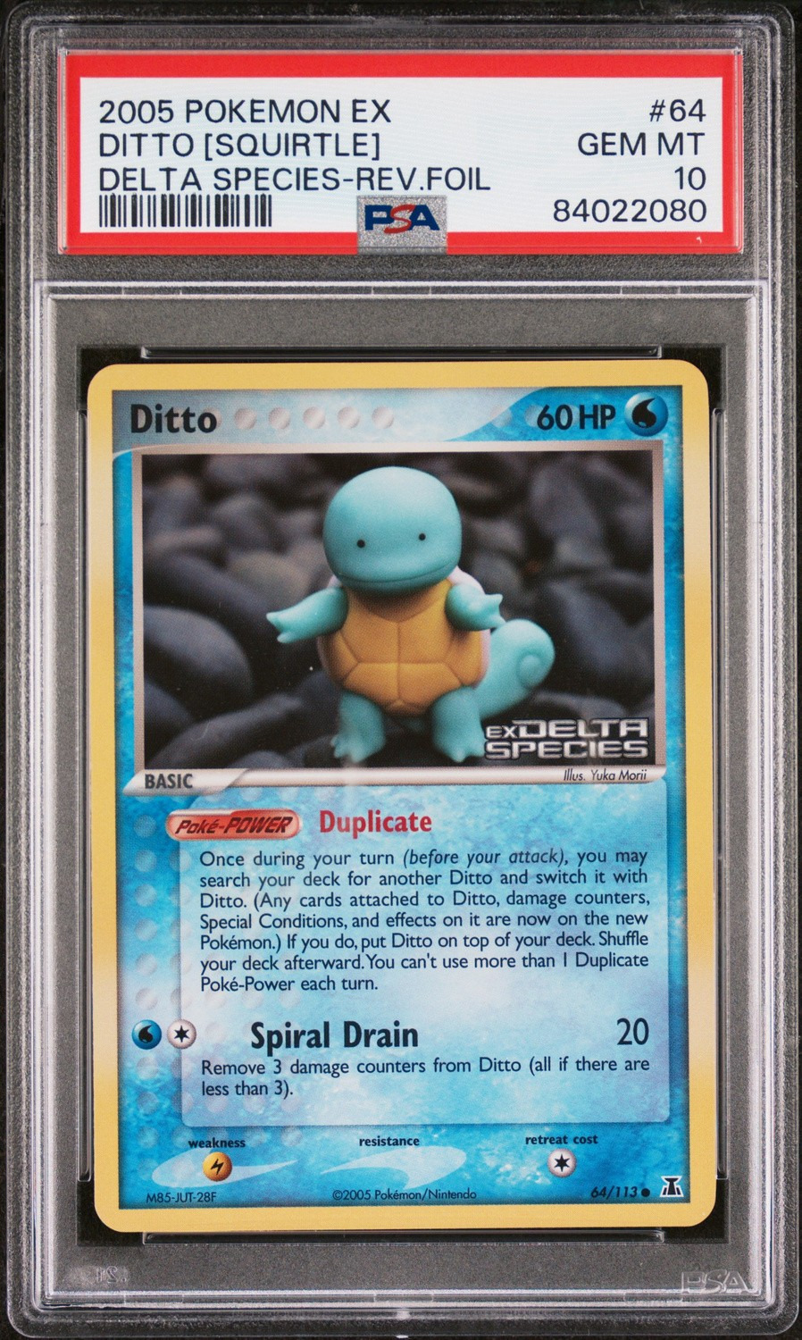 Ditto [Squirtle]