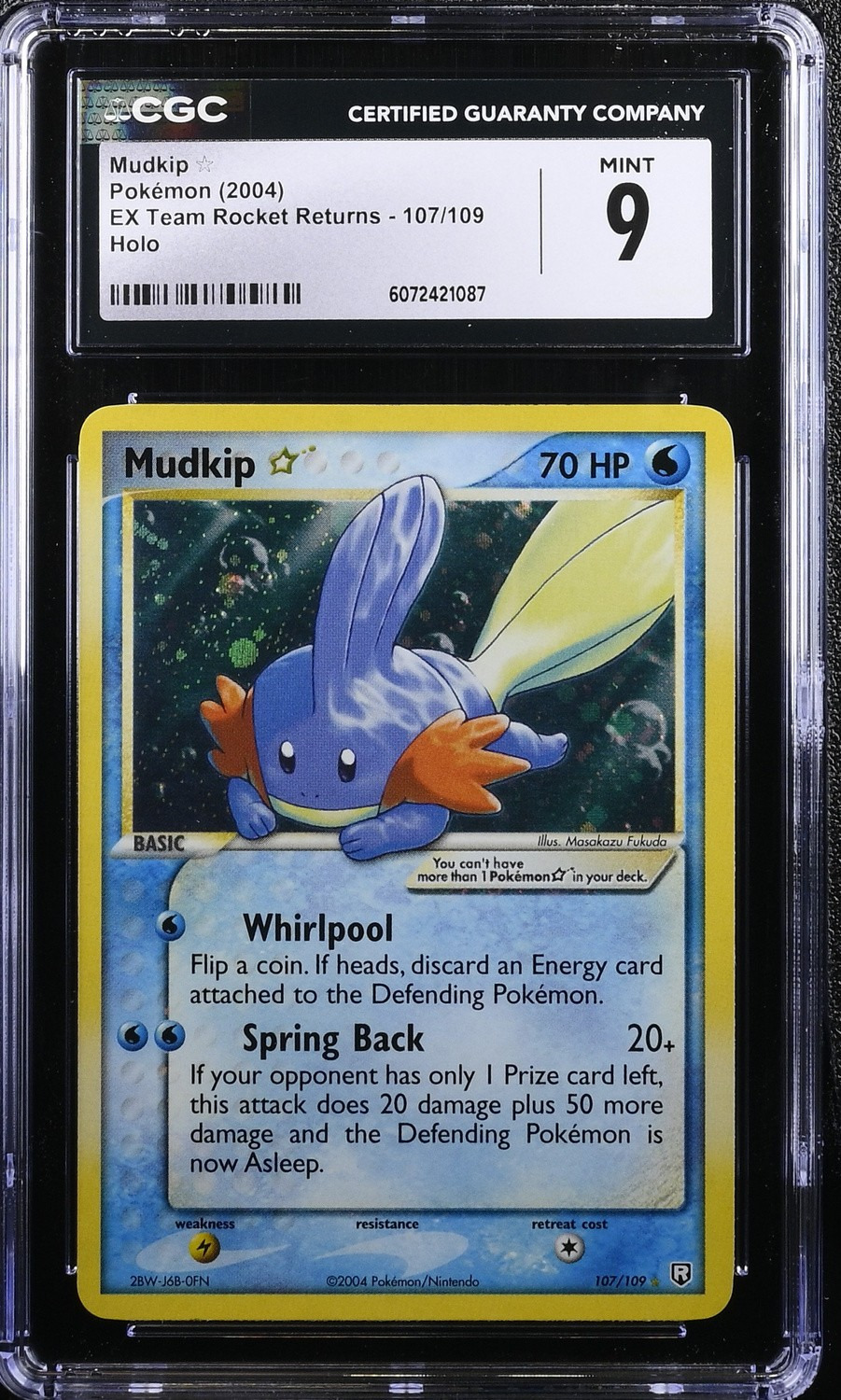 Mudkip