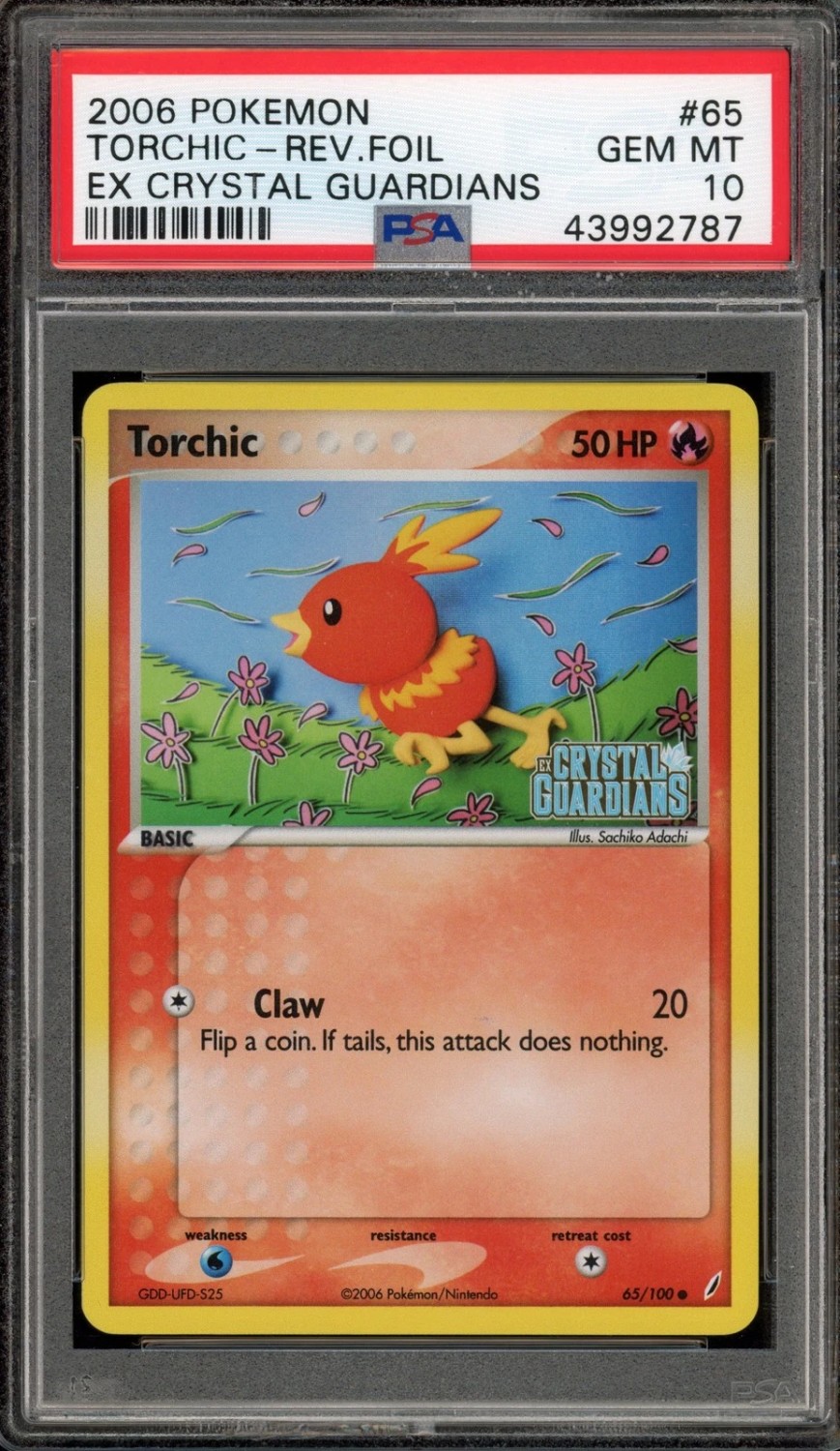 Torchic