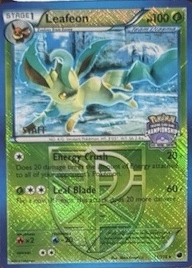 Holo · American Championships Crosshatch North Province Staff State Territory
