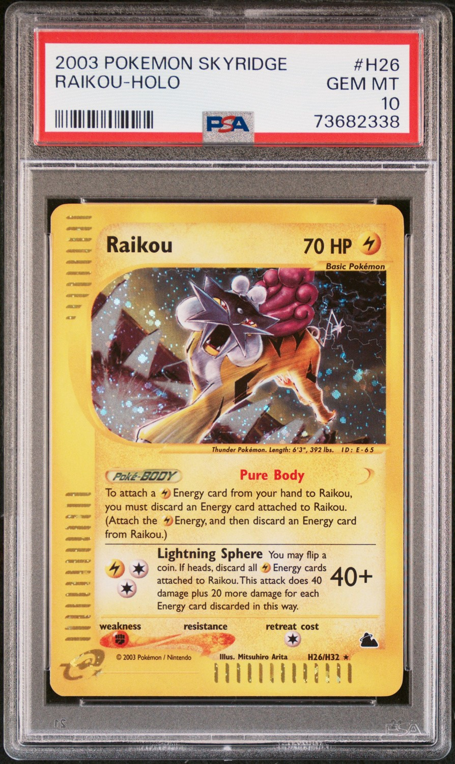 Raikou