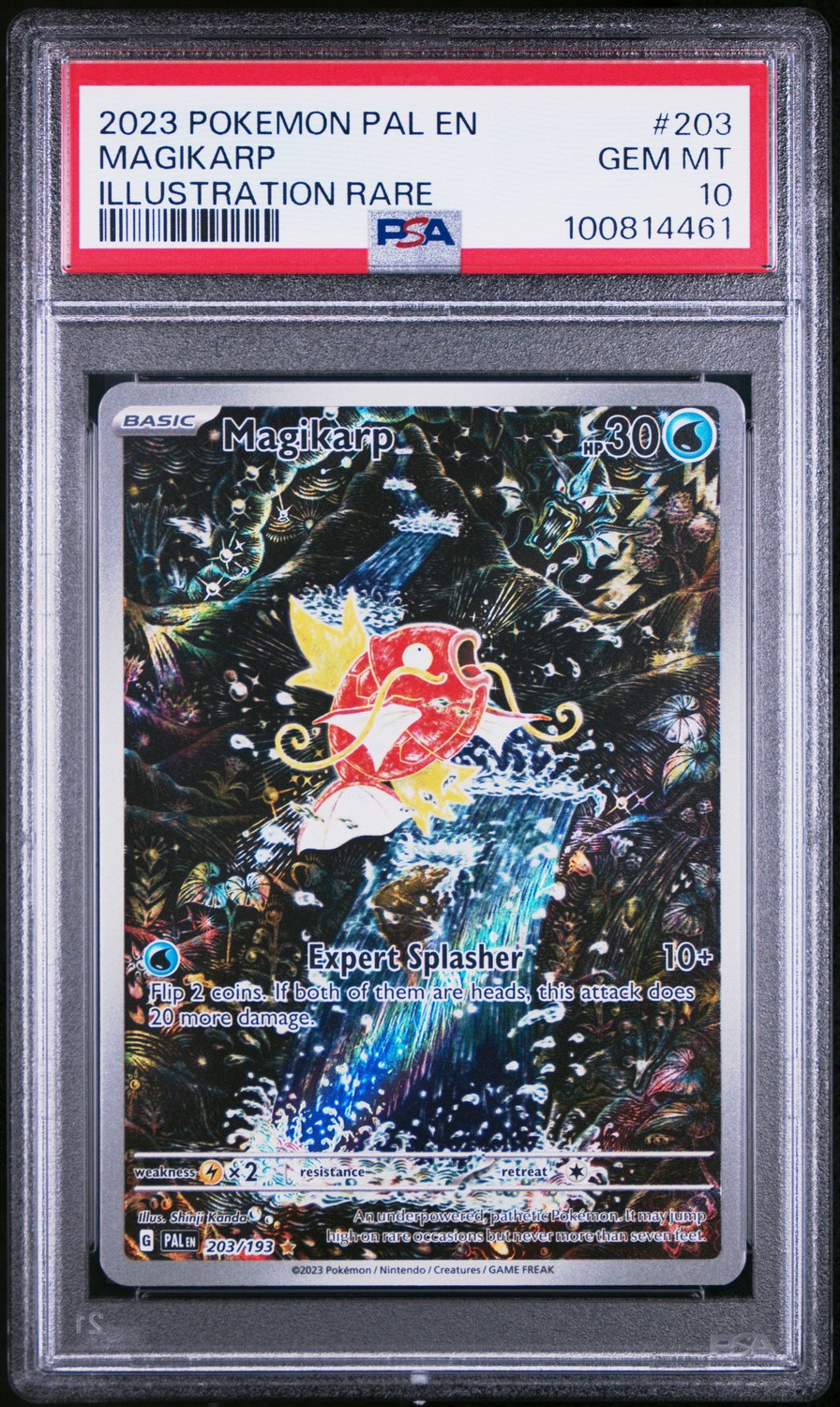 Magikarp