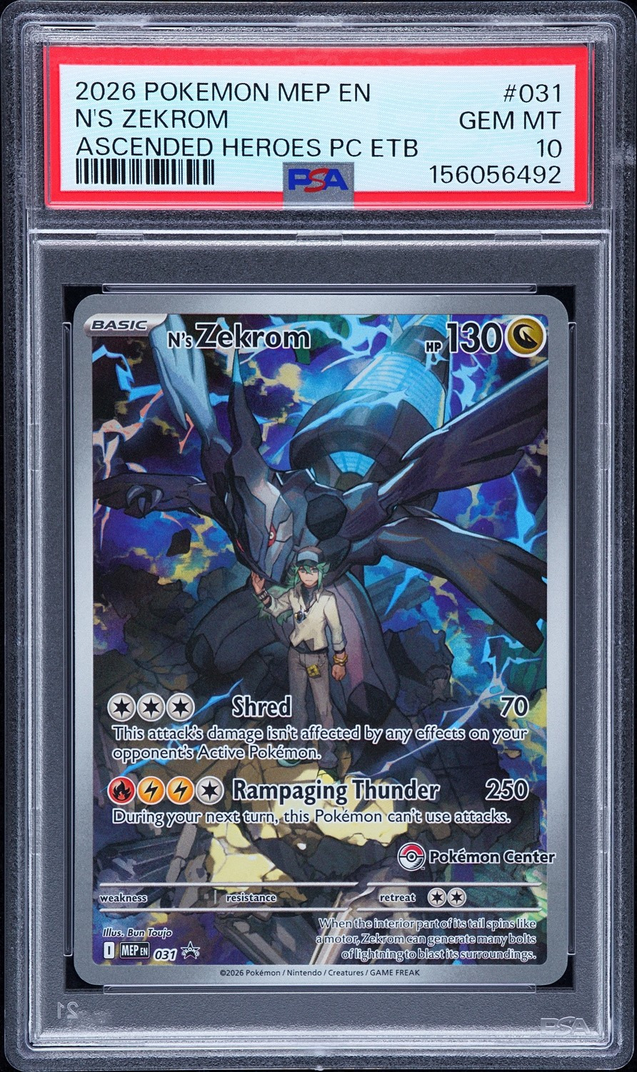 N's Zekrom