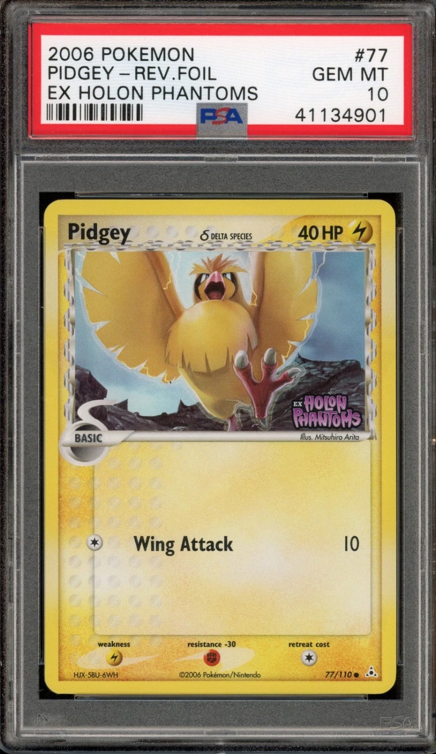 Pidgey