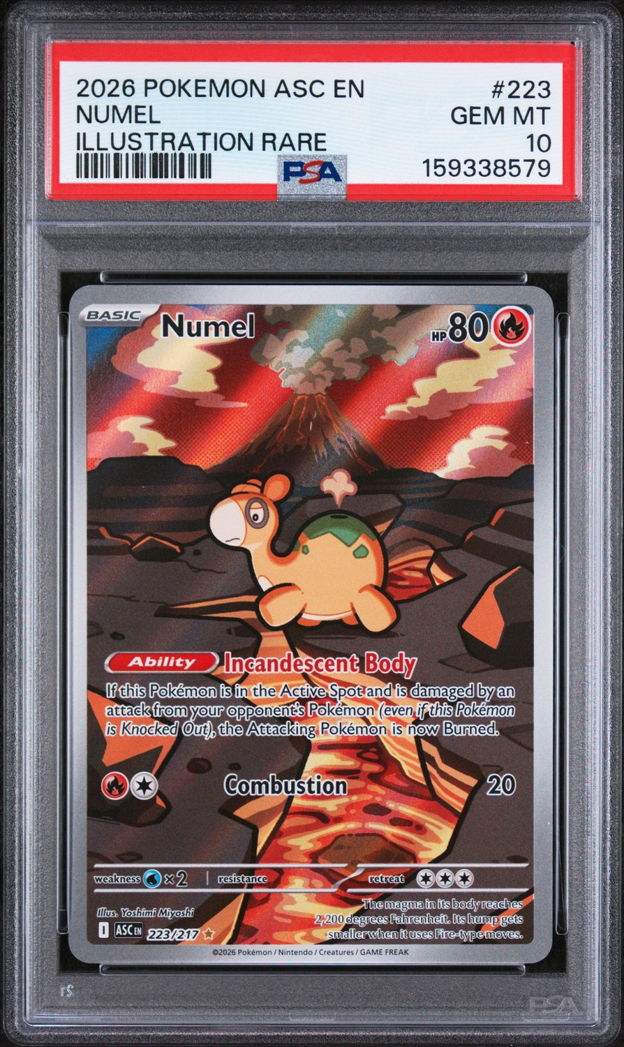 Numel