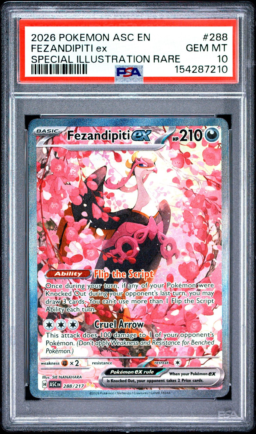 FEZANDIPITI ex