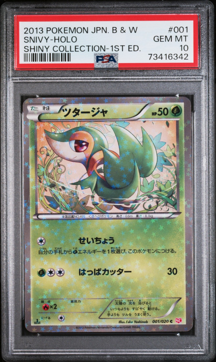 Snivy