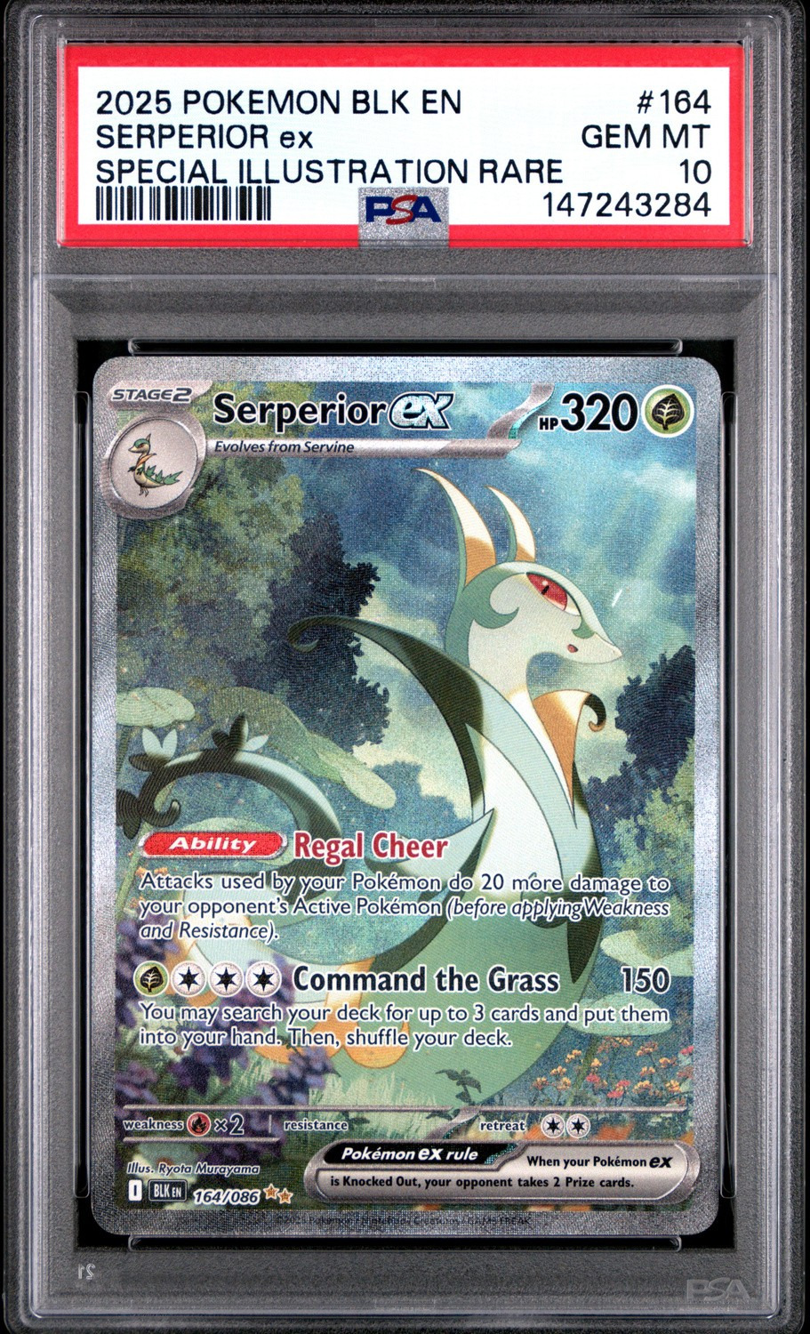 SERPERIOR ex