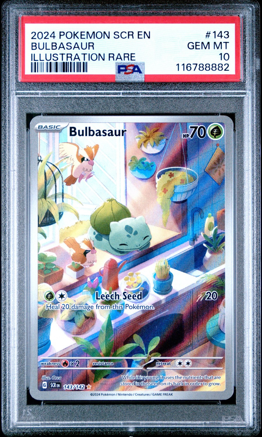 Bulbasaur