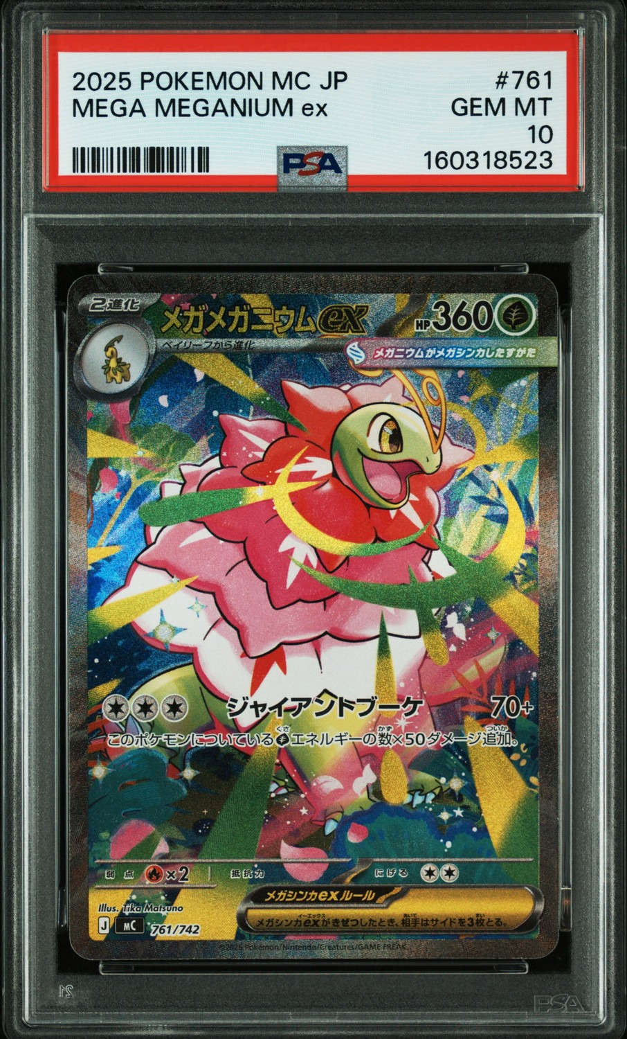 MEGA MEGANIUM ex