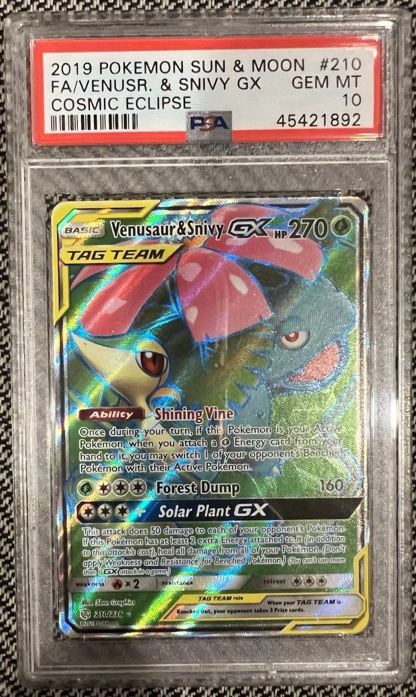 Venusaur & Snivy GX