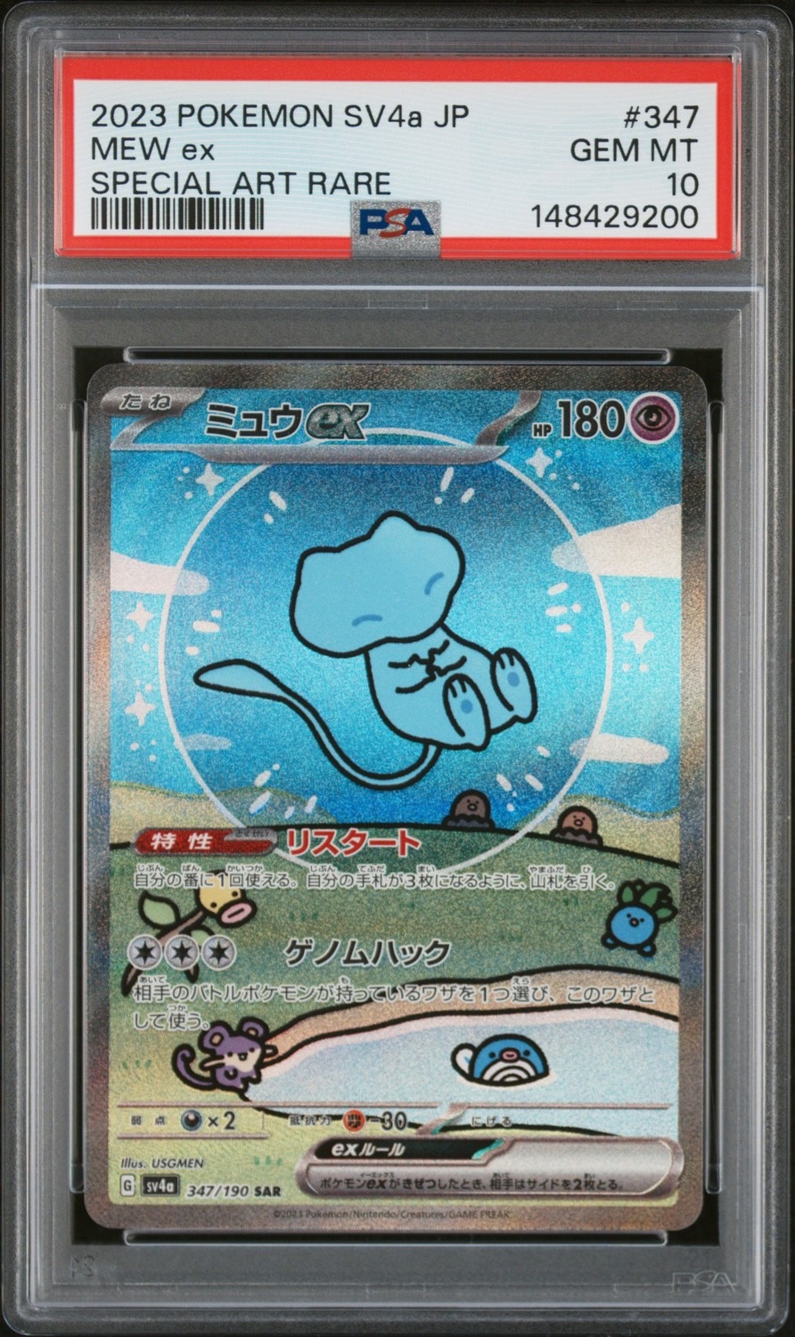 MEW ex