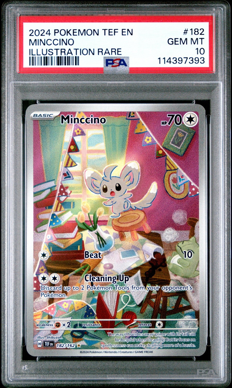Minccino