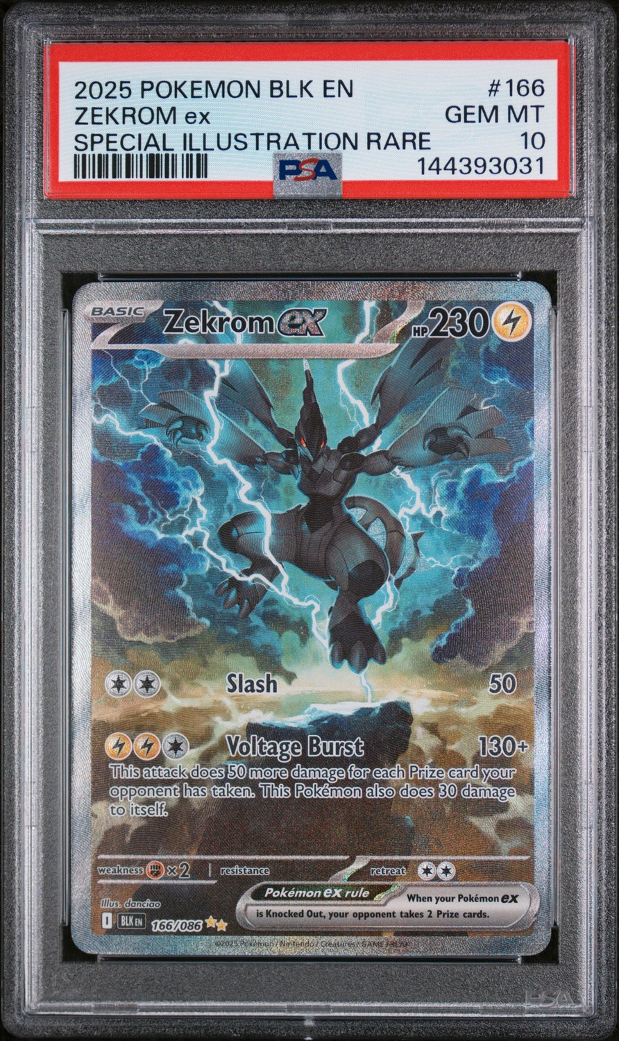 ZEKROM ex