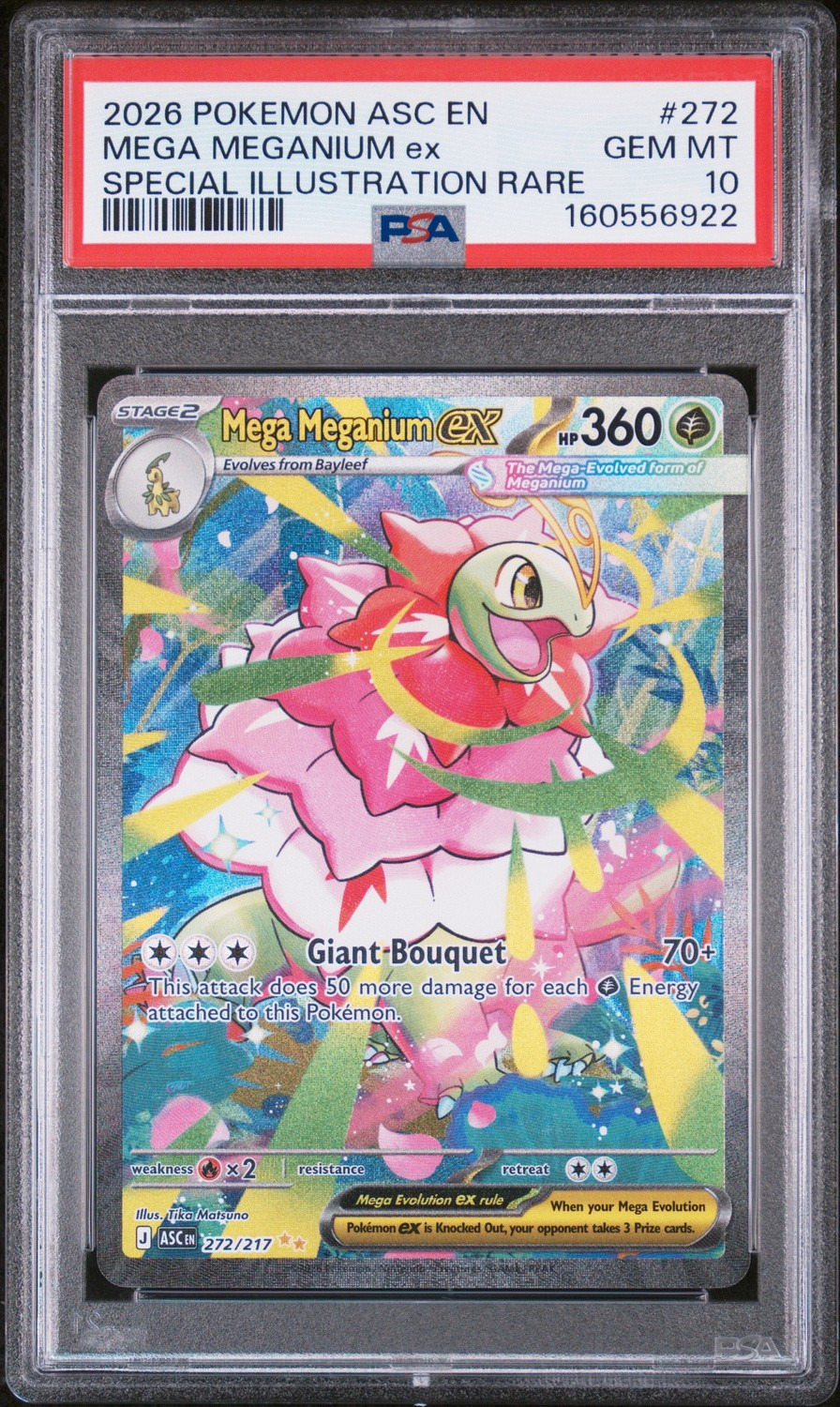 MEGA MEGANIUM ex