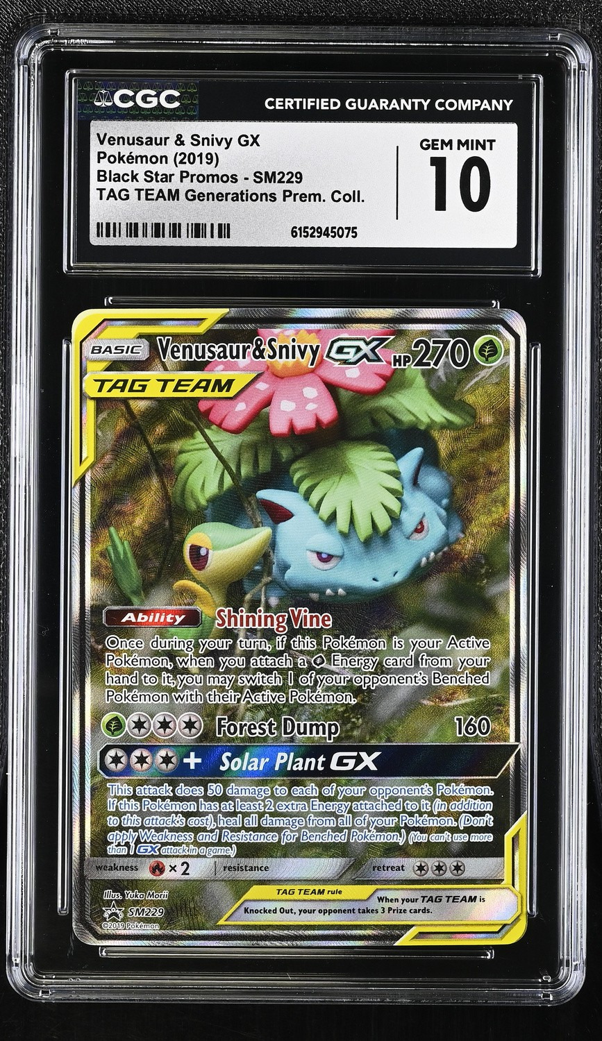 Venusaur & Snivy GX