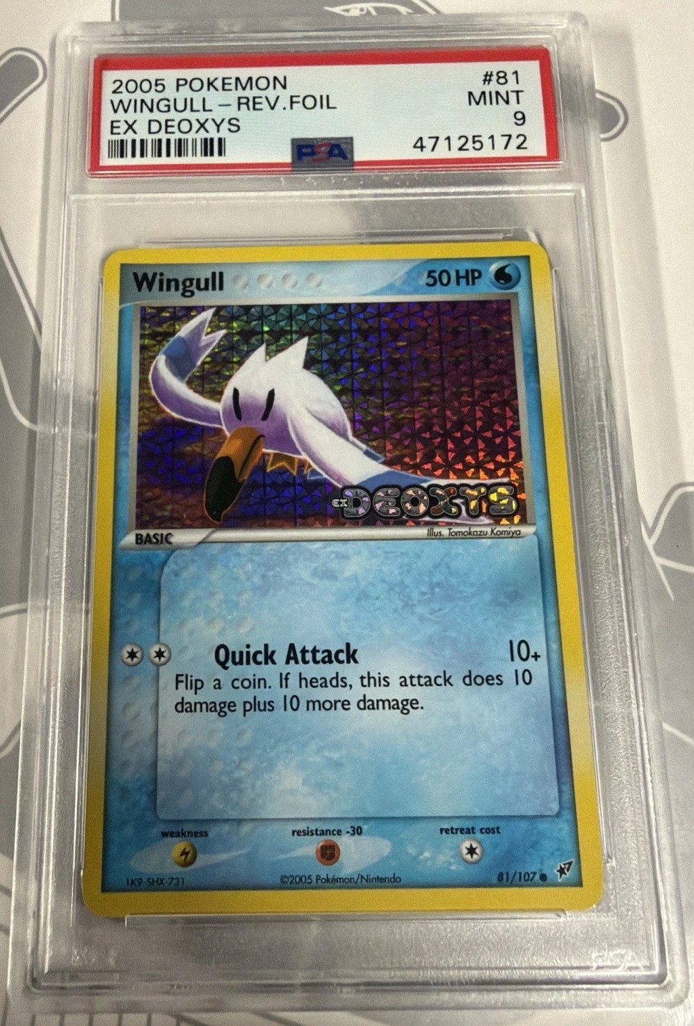 Wingull