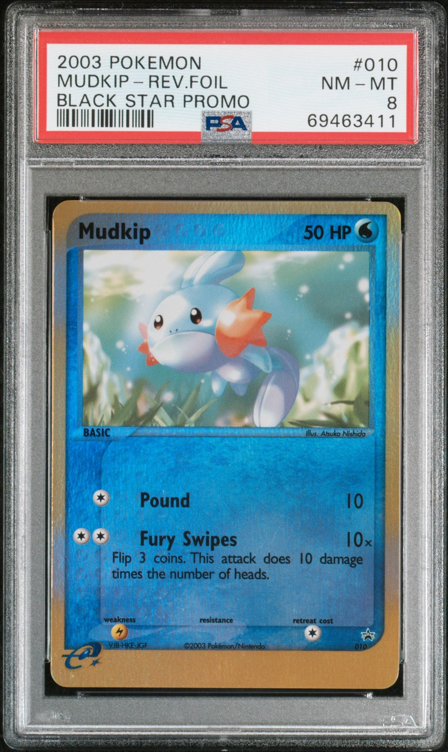Mudkip