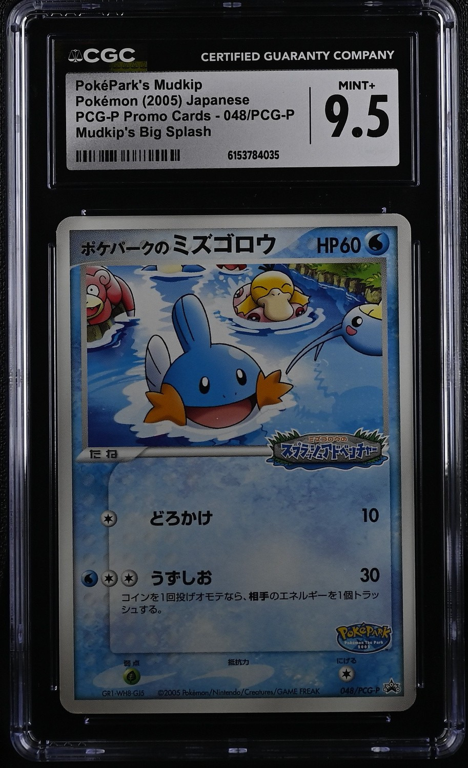 Pokepark's Mudkip