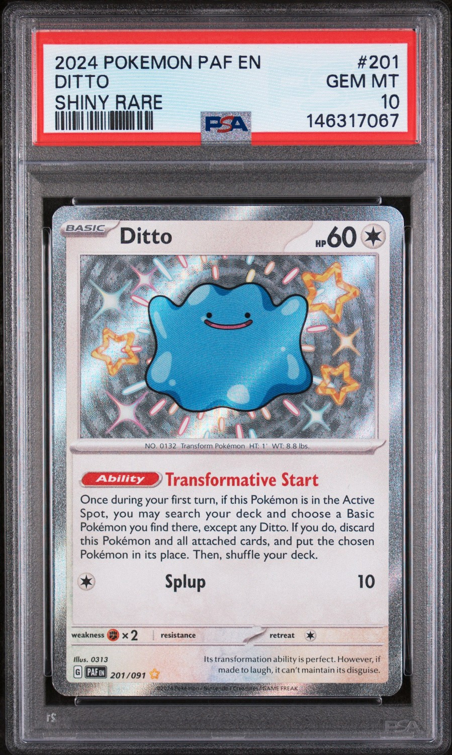 Ditto