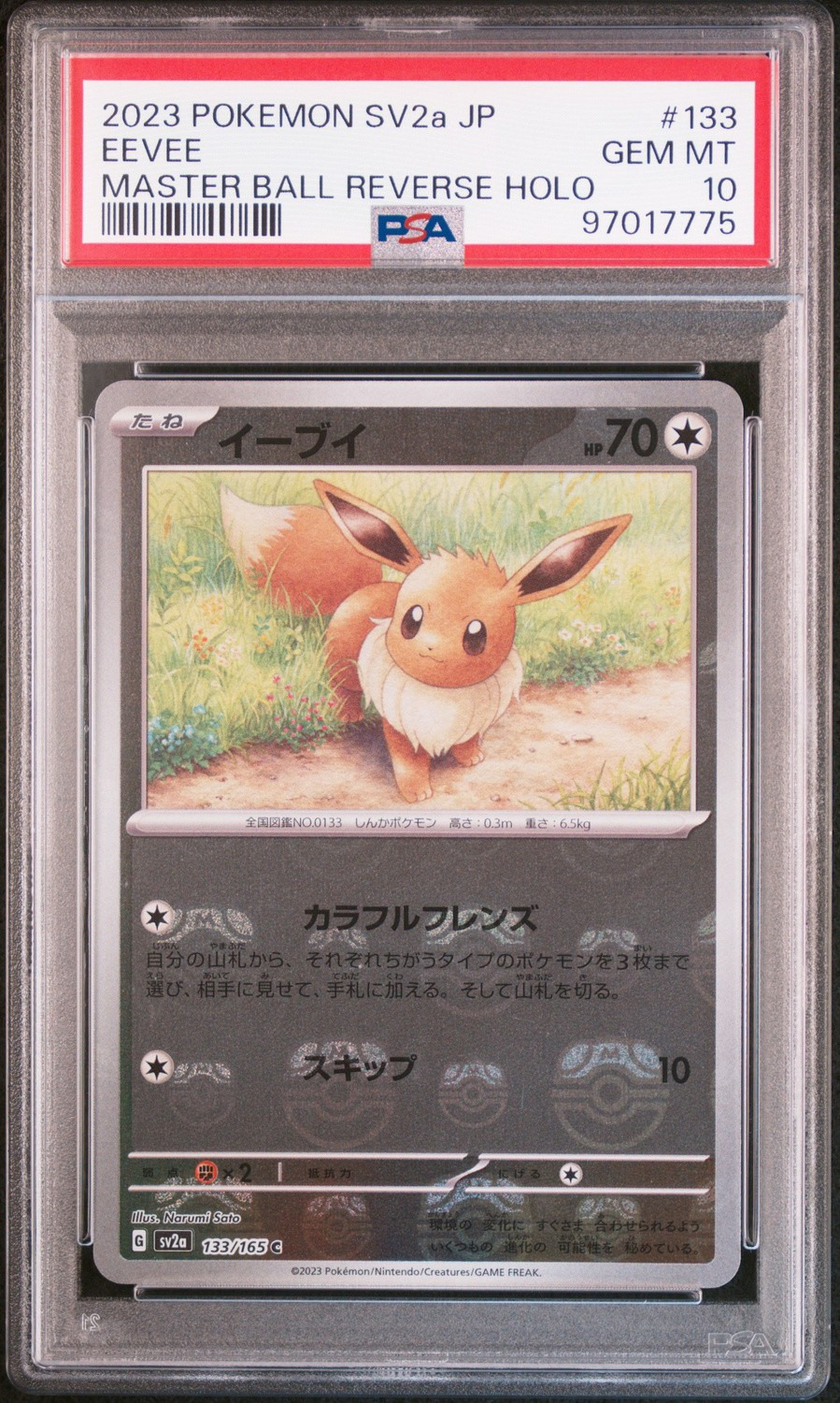 Eevee