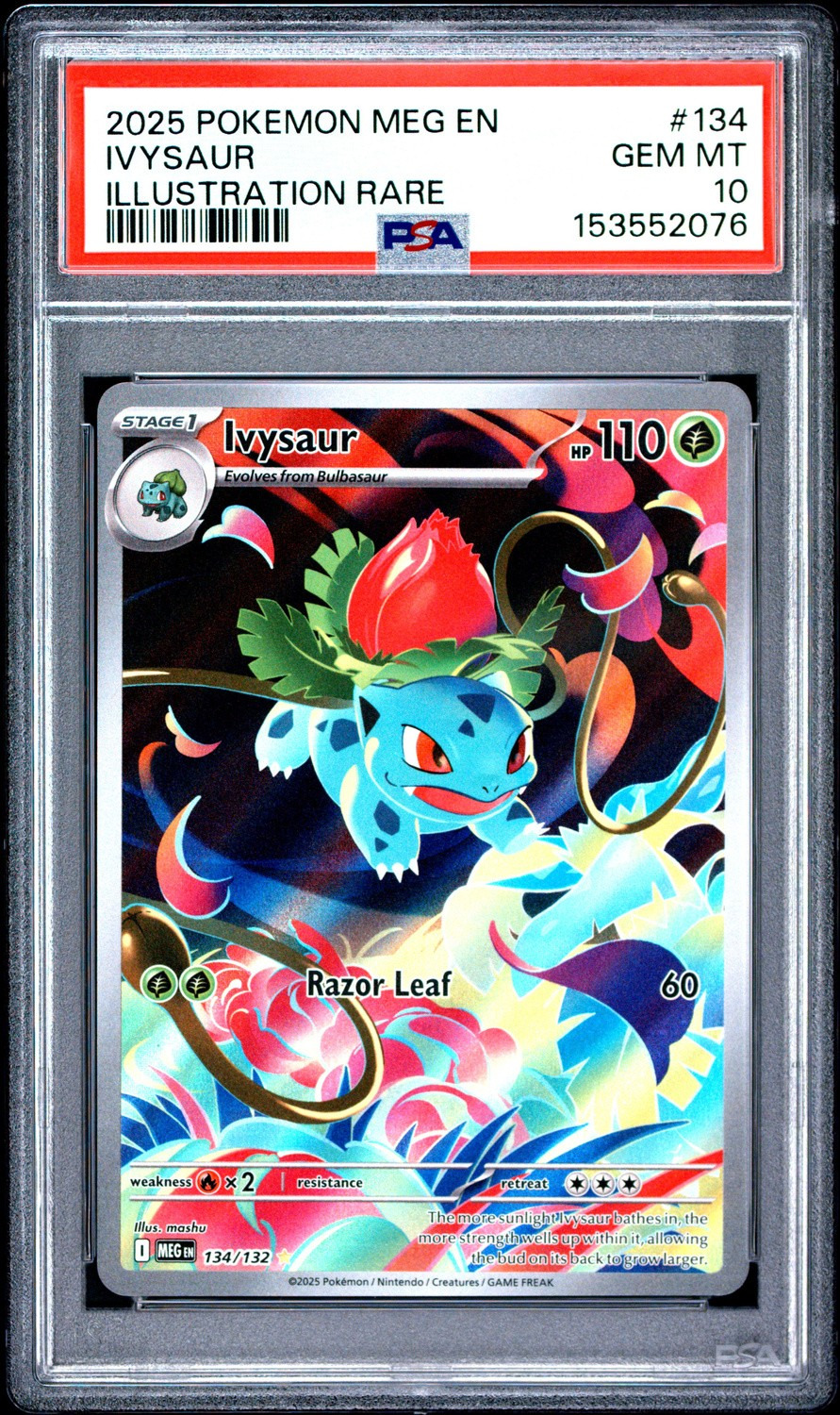 Ivysaur