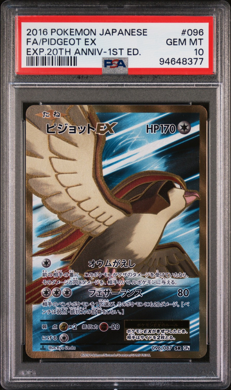 Pidgeot EX