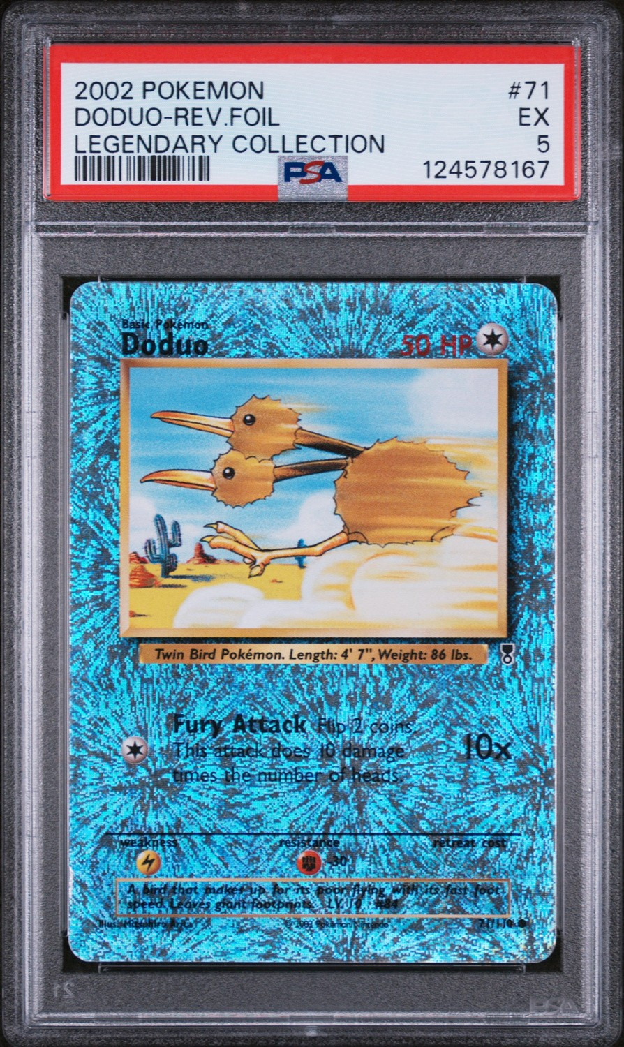Doduo