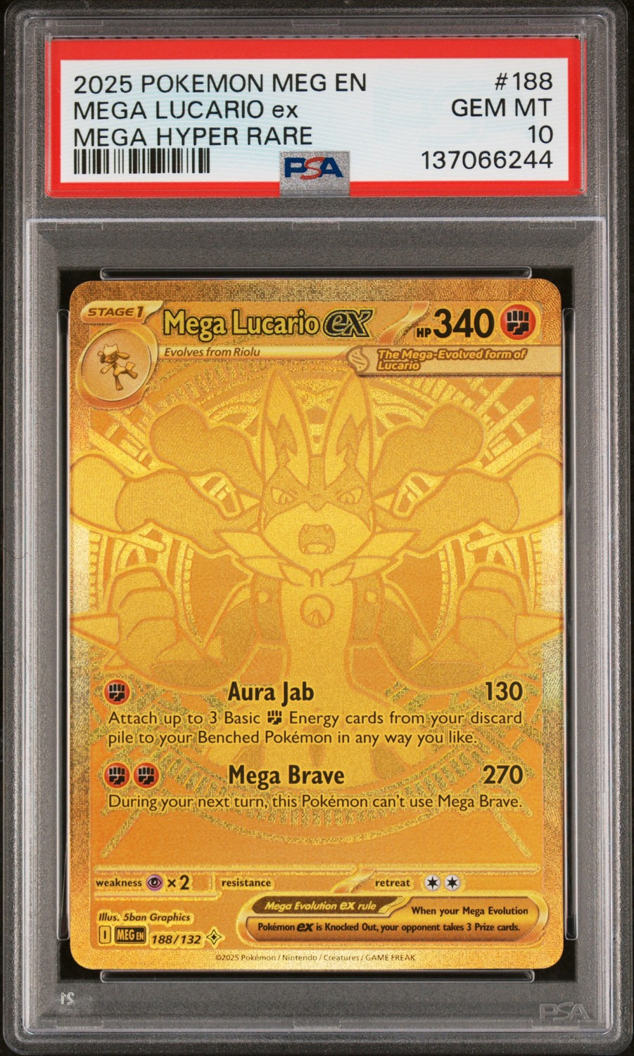 MEGA LUCARIO ex