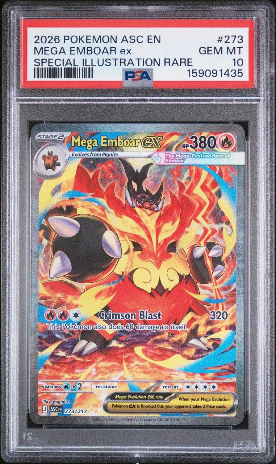 MEGA EMBOAR ex