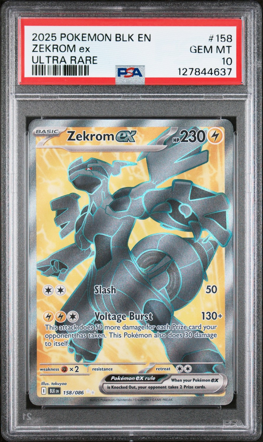 ZEKROM ex