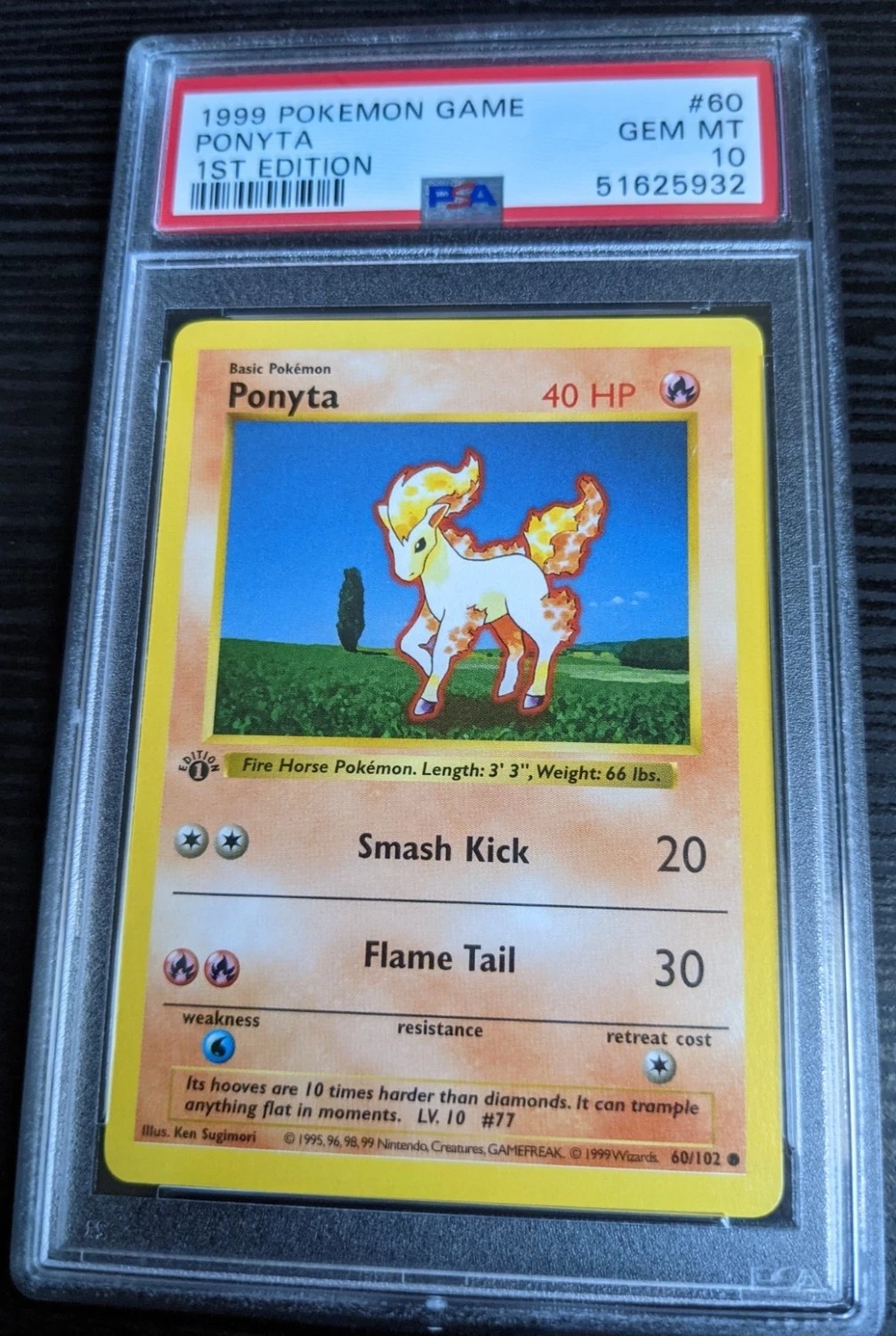 PONYTA