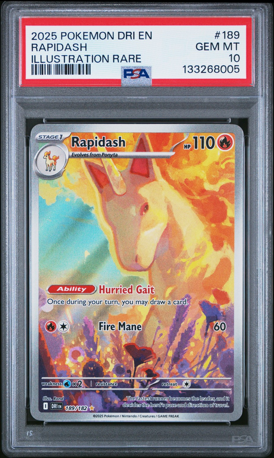 Rapidash
