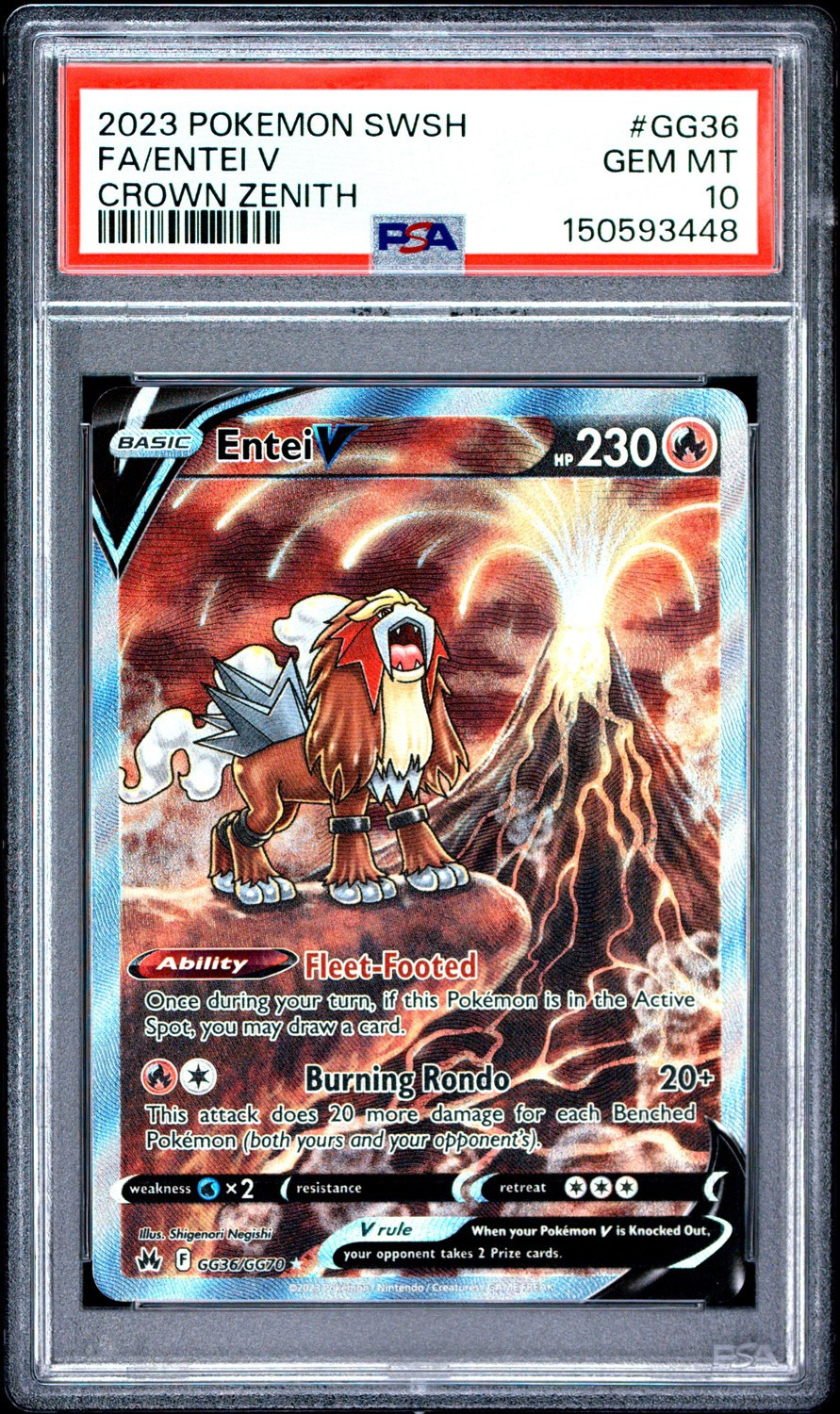 Entei V