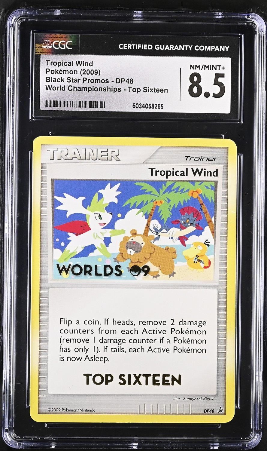 Tropical Wind