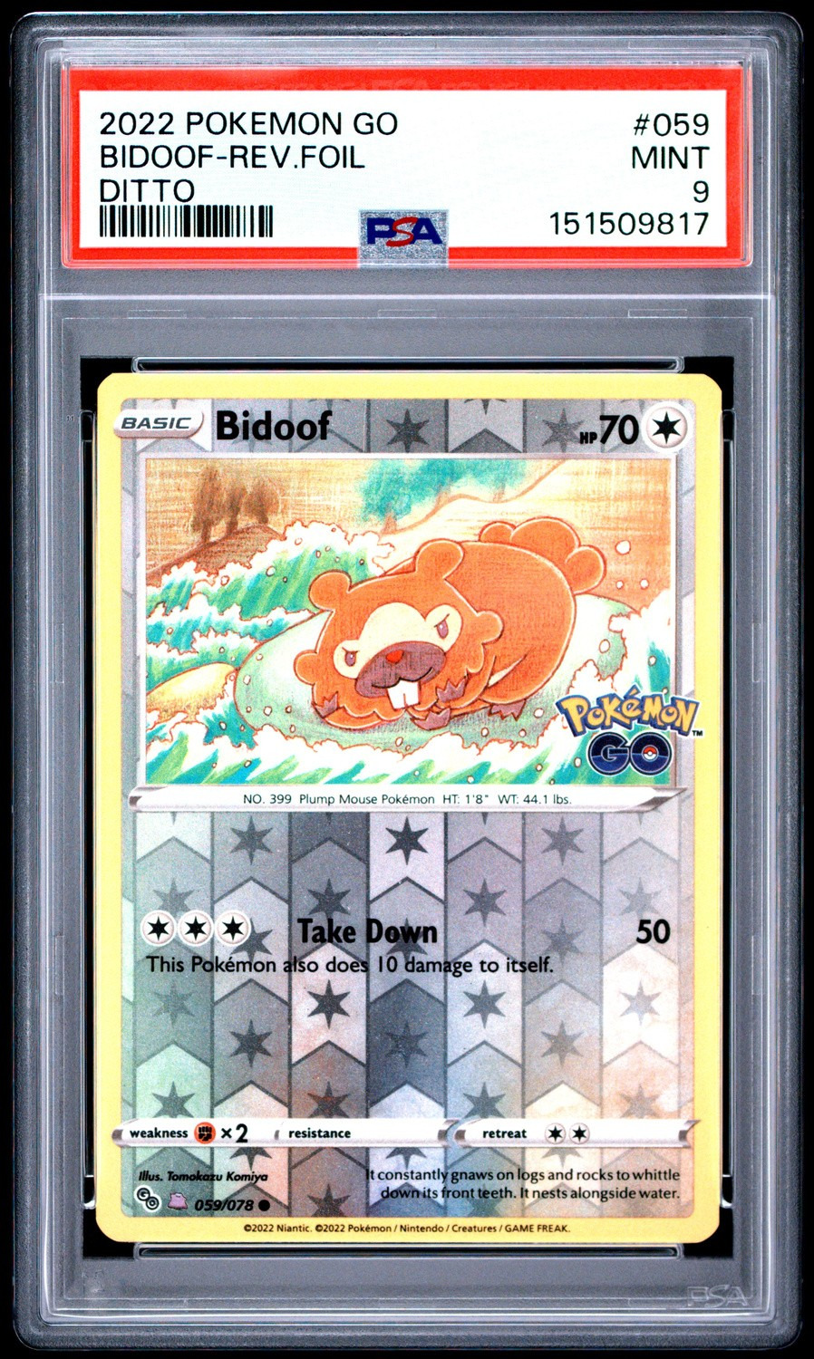 Bidoof