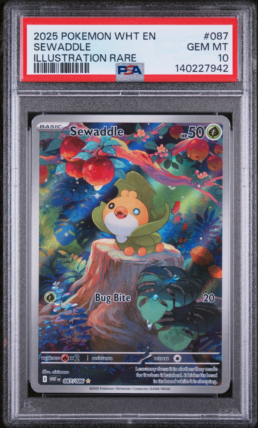 Sewaddle