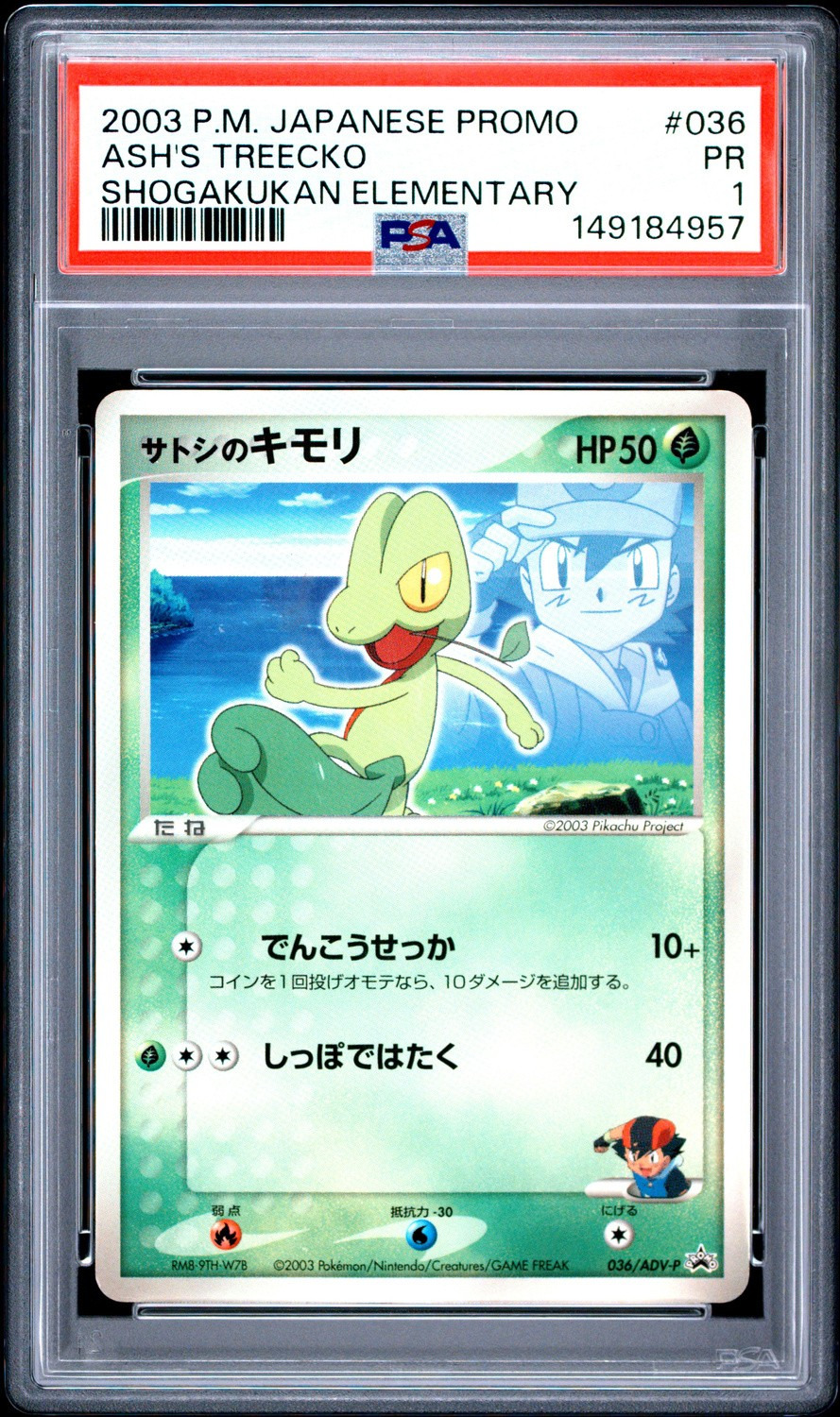 Ash's Treecko