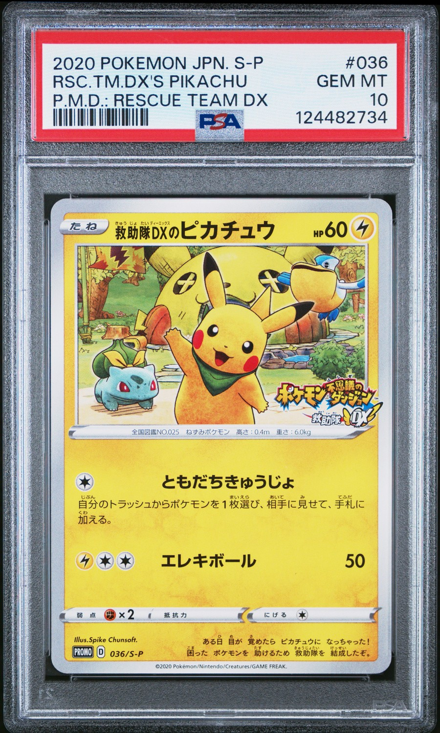 Rescue Team Dx's Pikachu