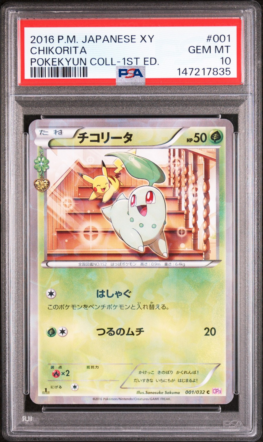 Chikorita