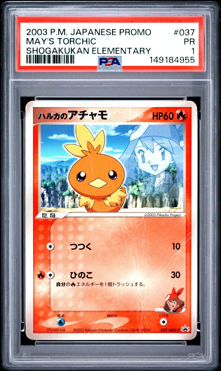 May's Torchic