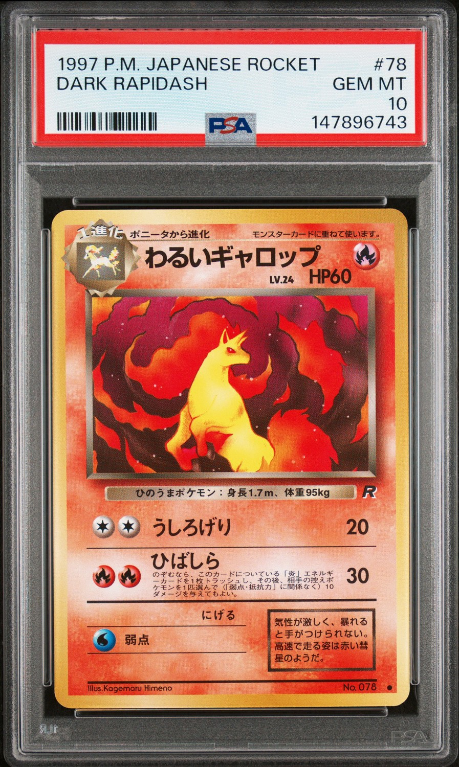 Dark Rapidash