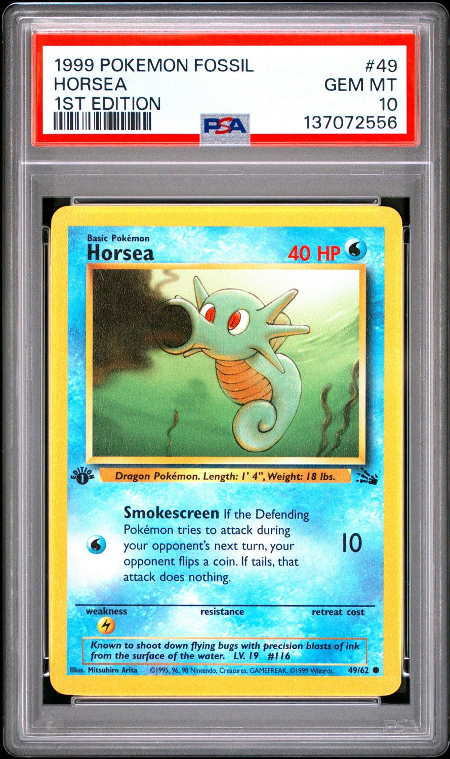 Horsea
