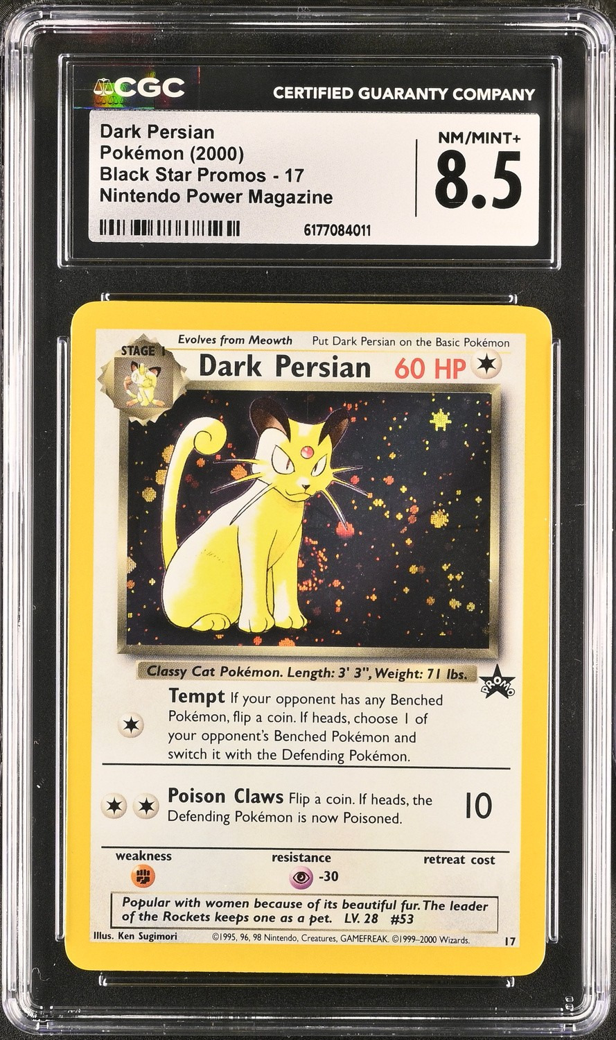 Dark Persian