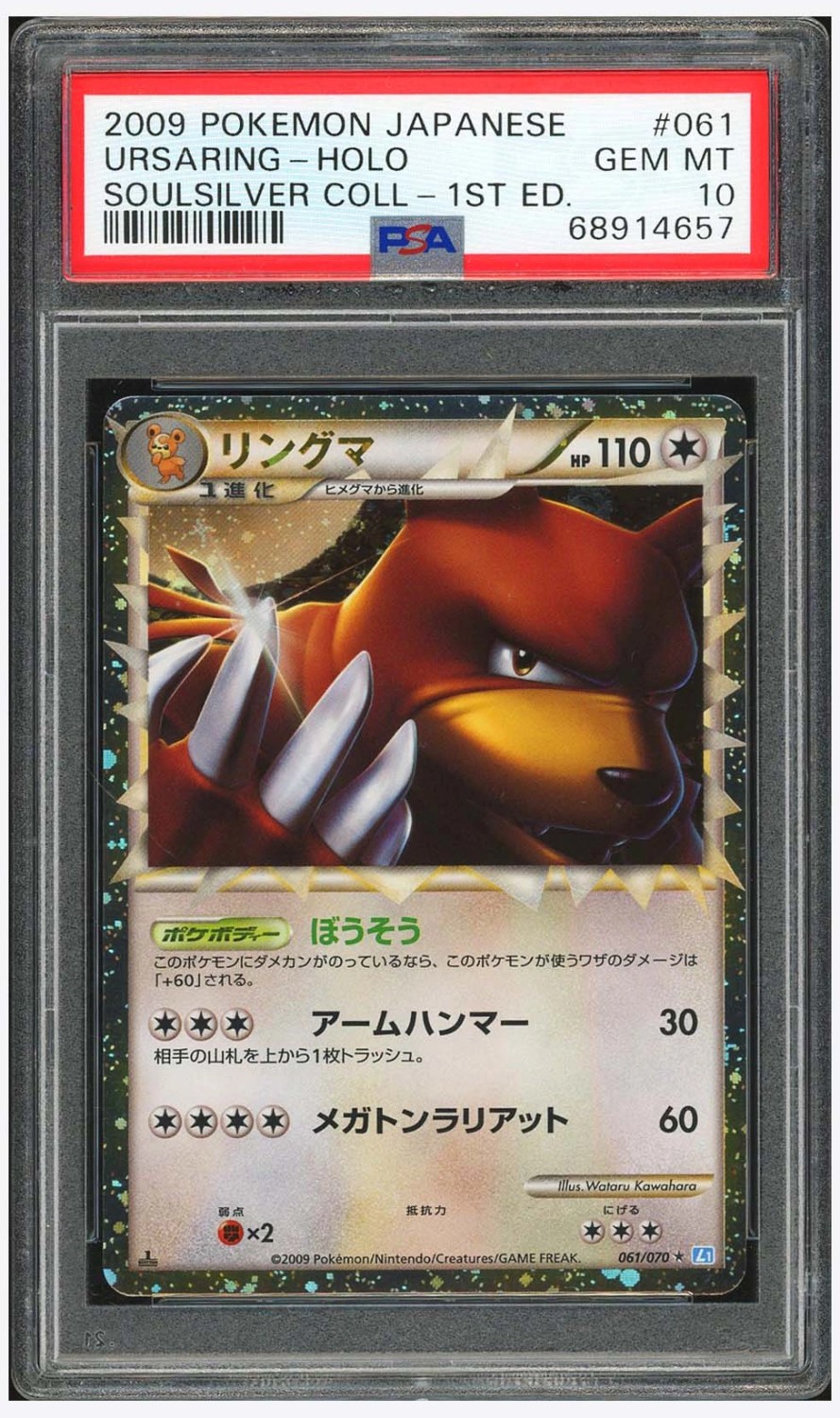 Ursaring