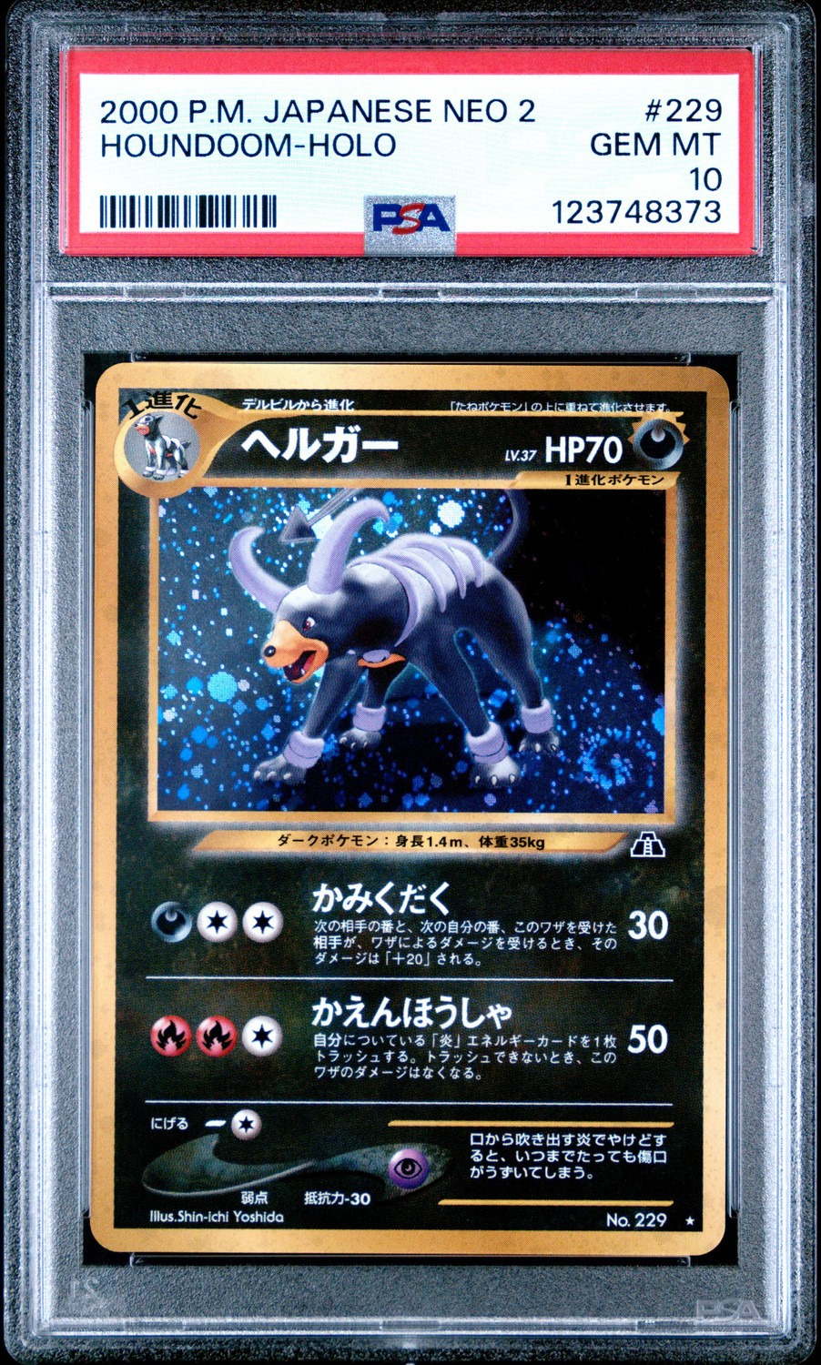 Houndoom