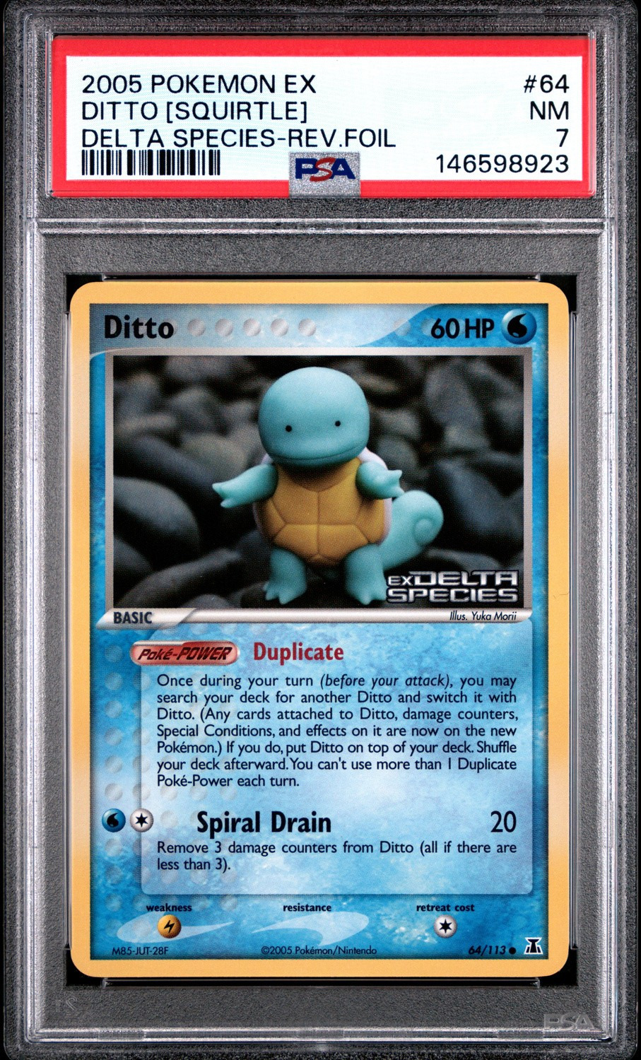 Ditto [Squirtle]